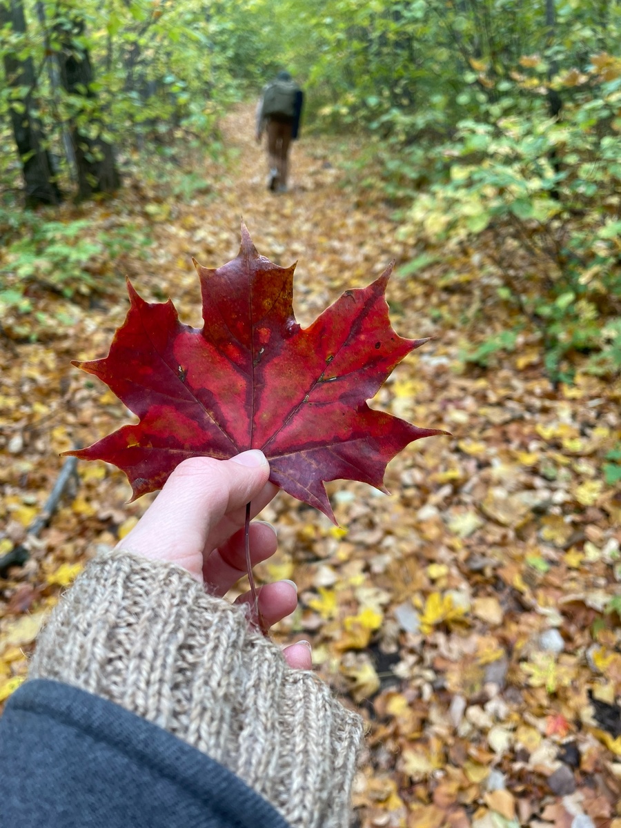 Тропинка на гору