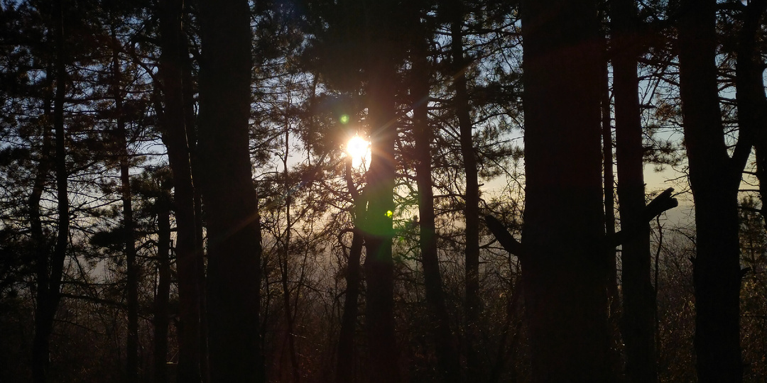 Солнце обязательно взойдёт. Встречаемся по чётным или, Исповедь молодого отца- 10