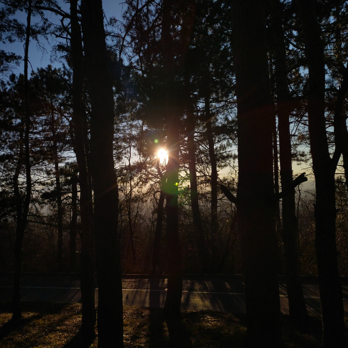 Фото автора канала