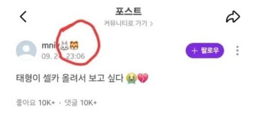 фото из соц.сети