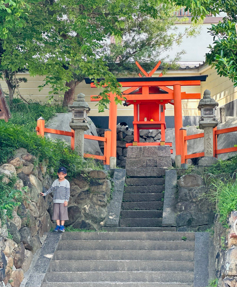 Нара. Фото автора