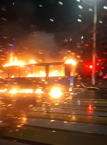    Фото: телеграм-канал «Сельхоз ЮМР Краснодар»