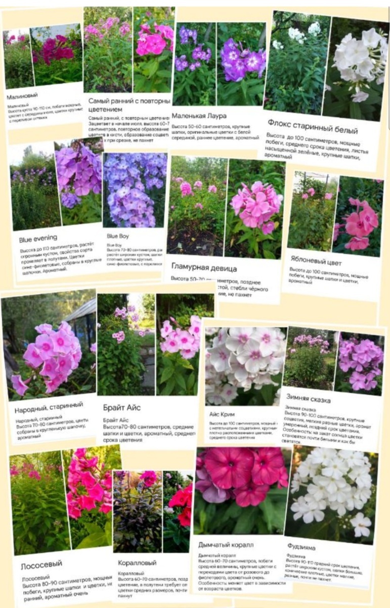 Этой картинке 2 года!