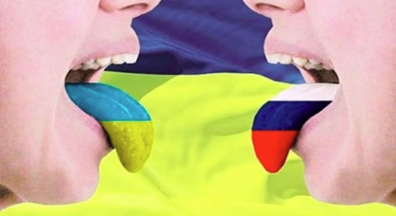    «Чемодан — и в Россию!»: русскоязычных украинцев предложили лишить учёбы и работы