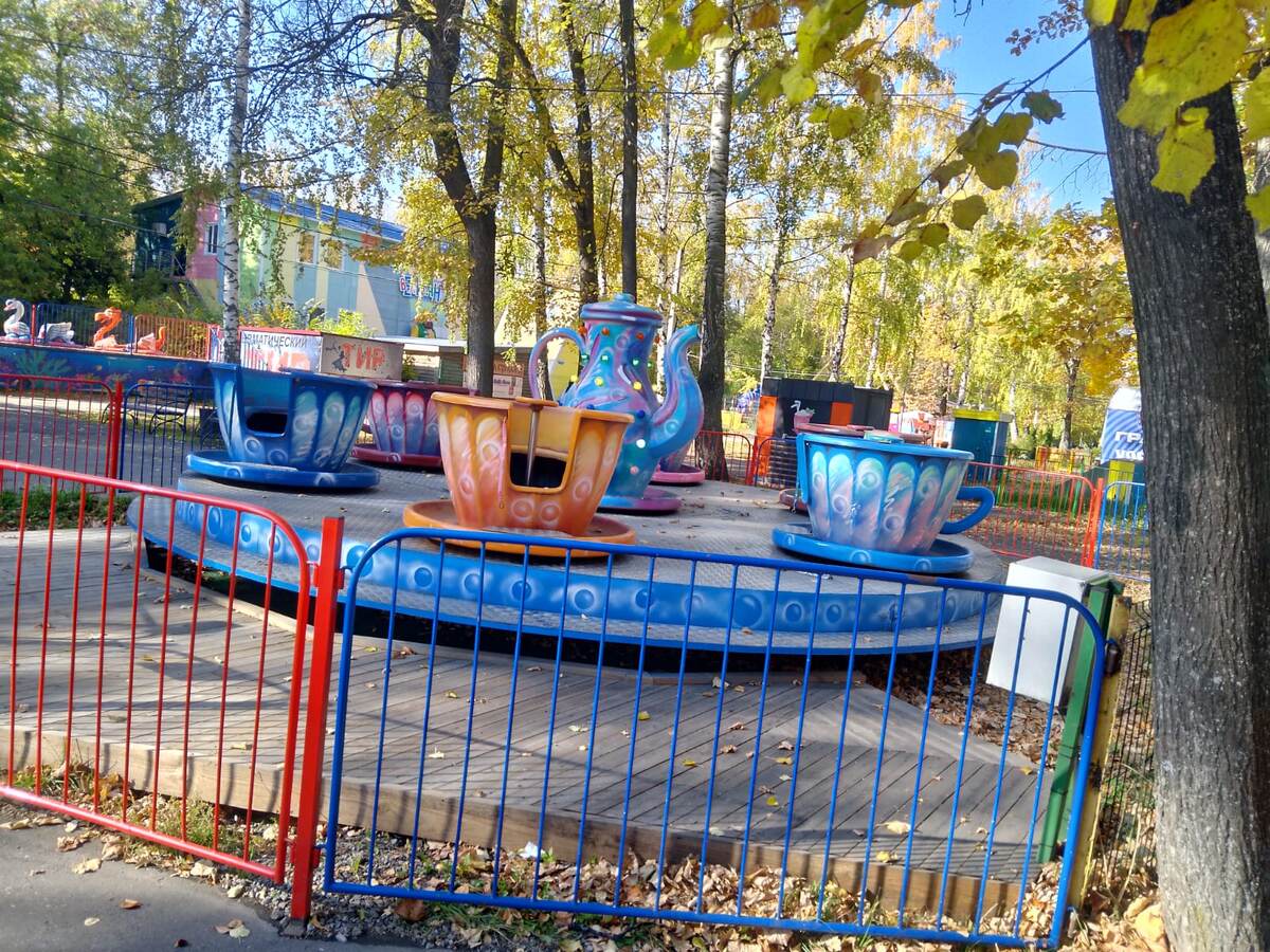 Фото автора, мой парк