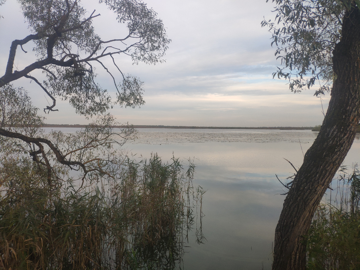 Фото автора 