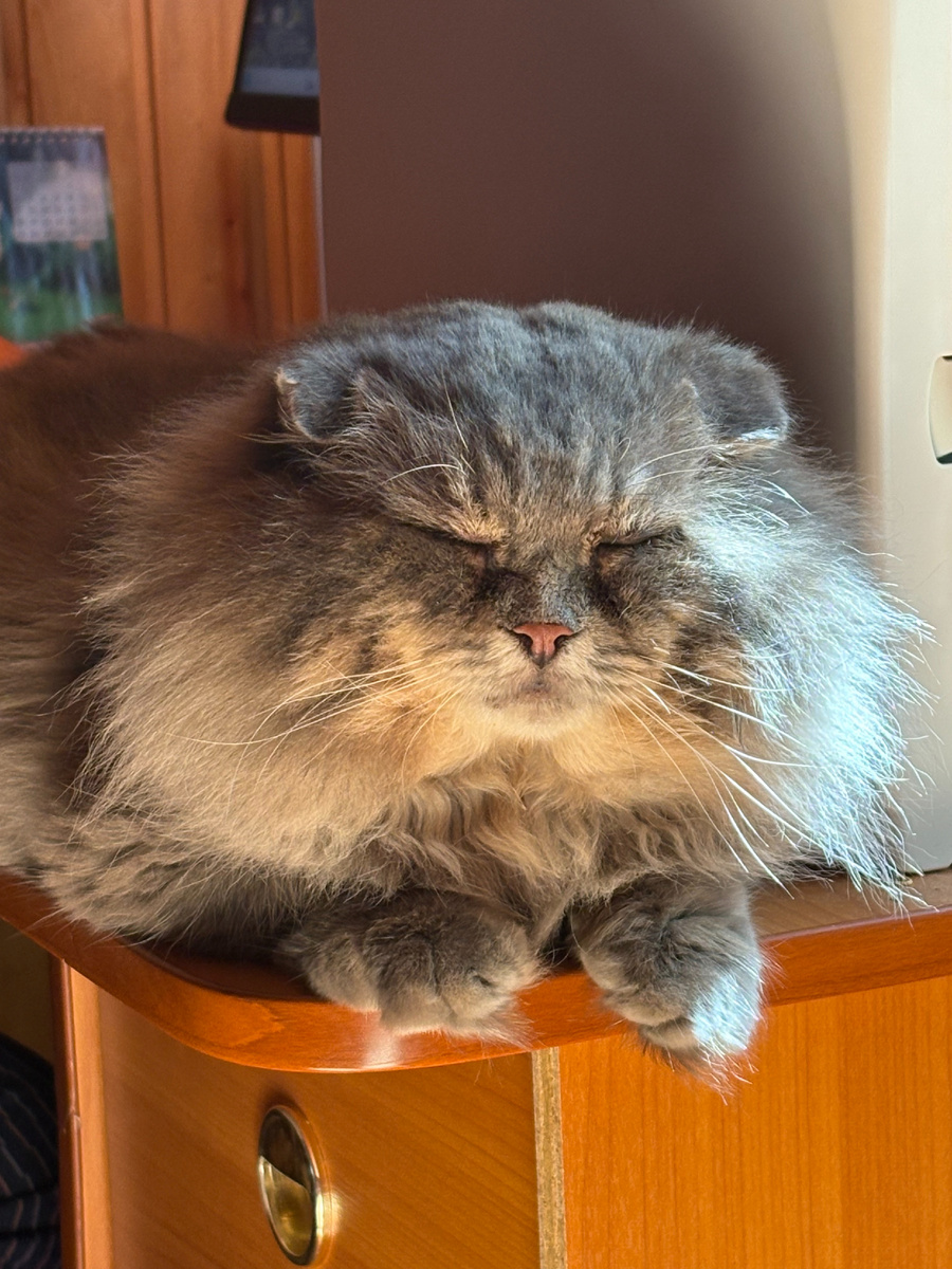 Хозяйка, ну-ка распечатай, что ты там понаписала! Мне надо срочно почитать. Везде фото автора.