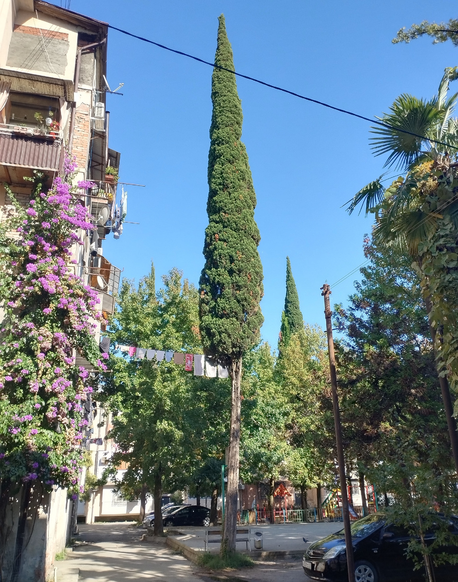 Возле дома, где мы жили