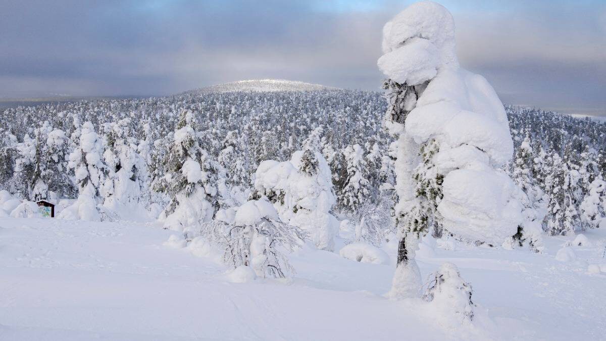    Фото: Shutterstock