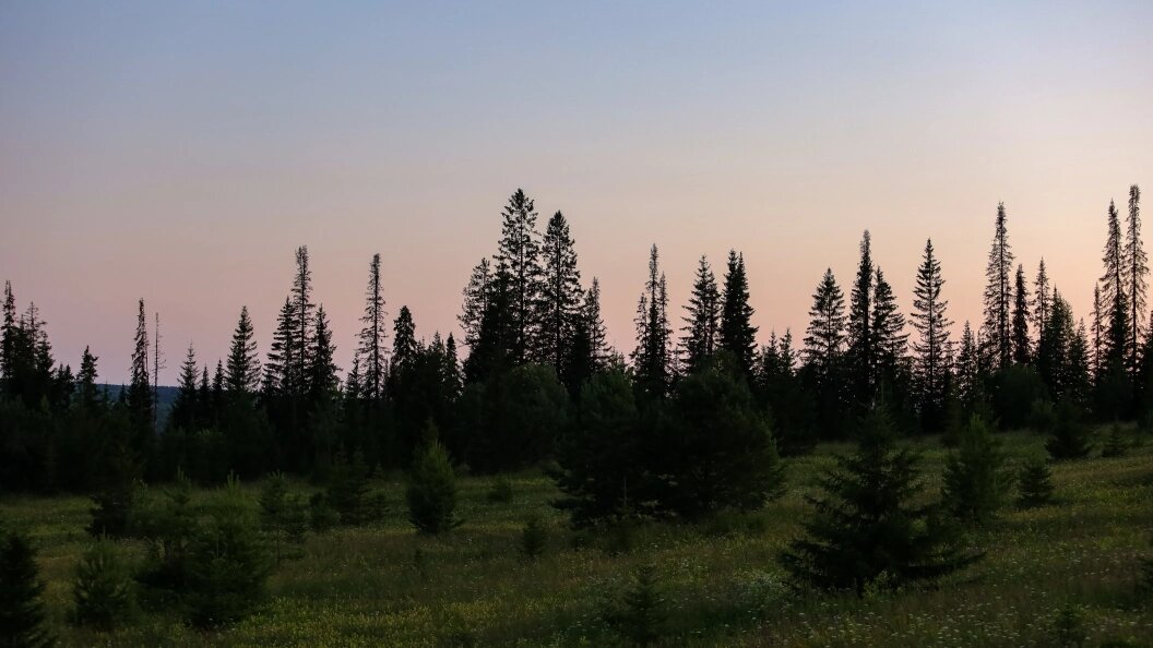    Фото: Elena Mayorova/Globallookpress