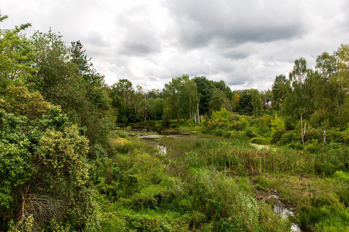 Устюжна — Вид на речку Ворожу с  Козьего мостика