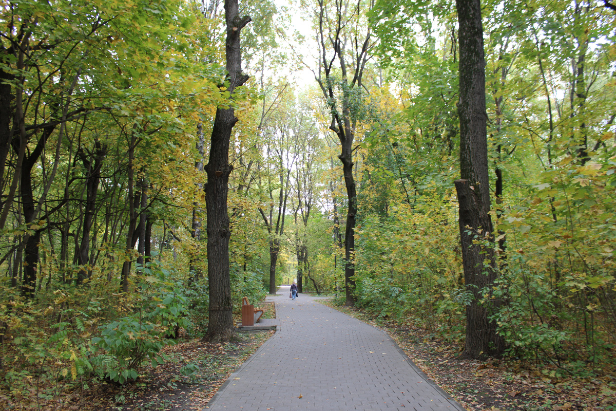 Парк «Дубки» в Нижнем Новгороде. Фото автора канала