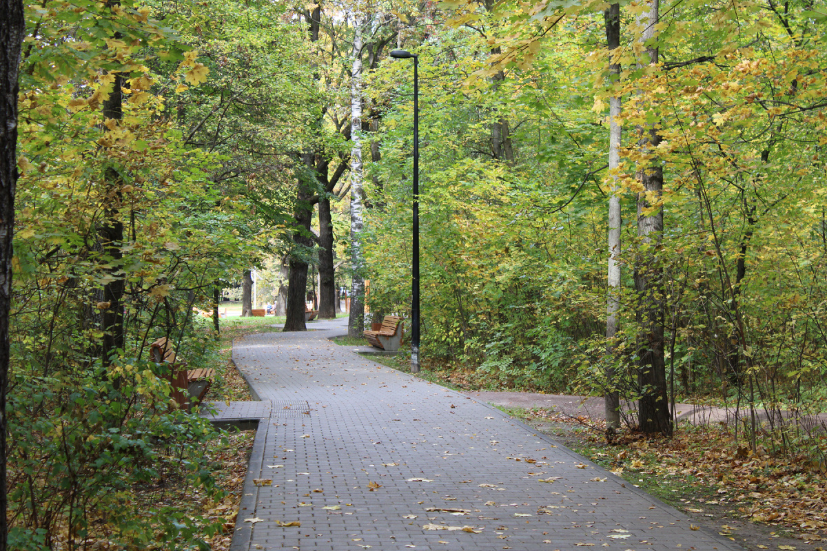 Парк «Дубки» в Нижнем Новгороде. Фото автора канала