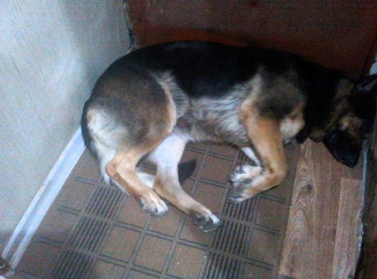 Фото автора