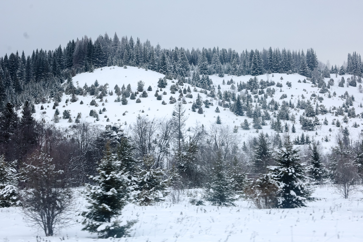 ФОТО: Elena Mayorova/Globallookpress