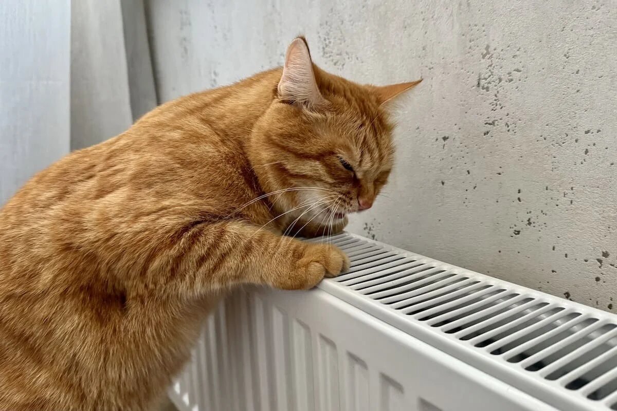 Фото: UfaTime.ru