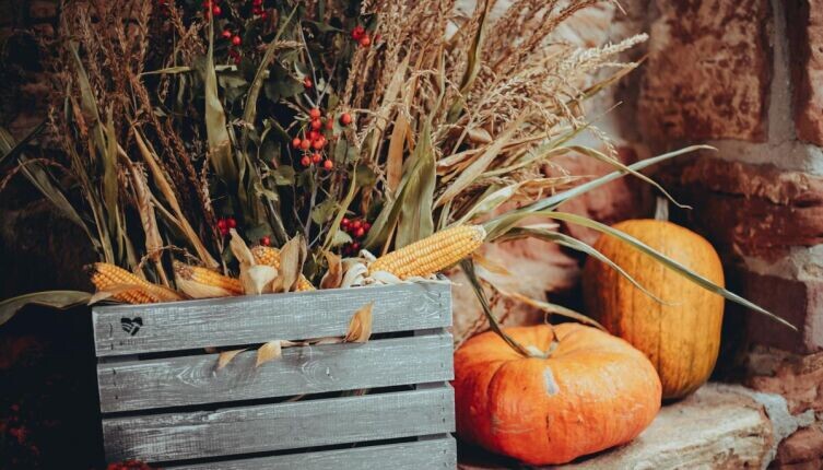     Фото: Dana Ward on Unsplash