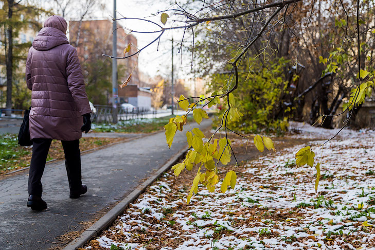 © Фото VN.ru.📷
