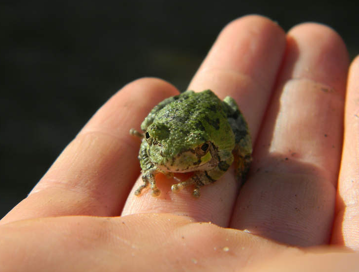 Не ешь меня, подумой! (с)