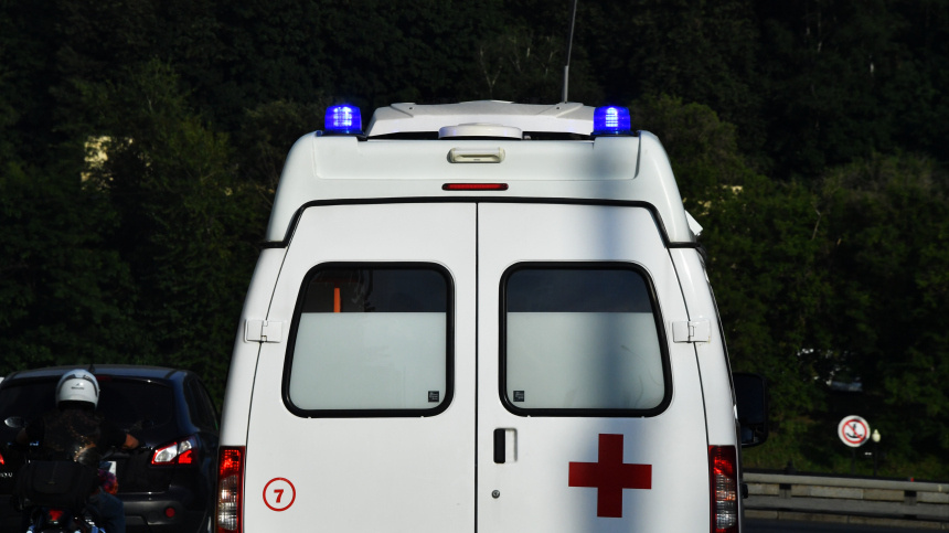    Фото: © РИА Новости/Наталья Селиверстова