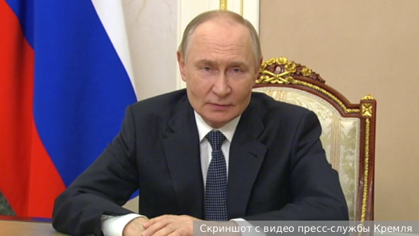     Фото: Скриншот с видео пресс-службы Кремля   
 Текст: Ирма Каплан