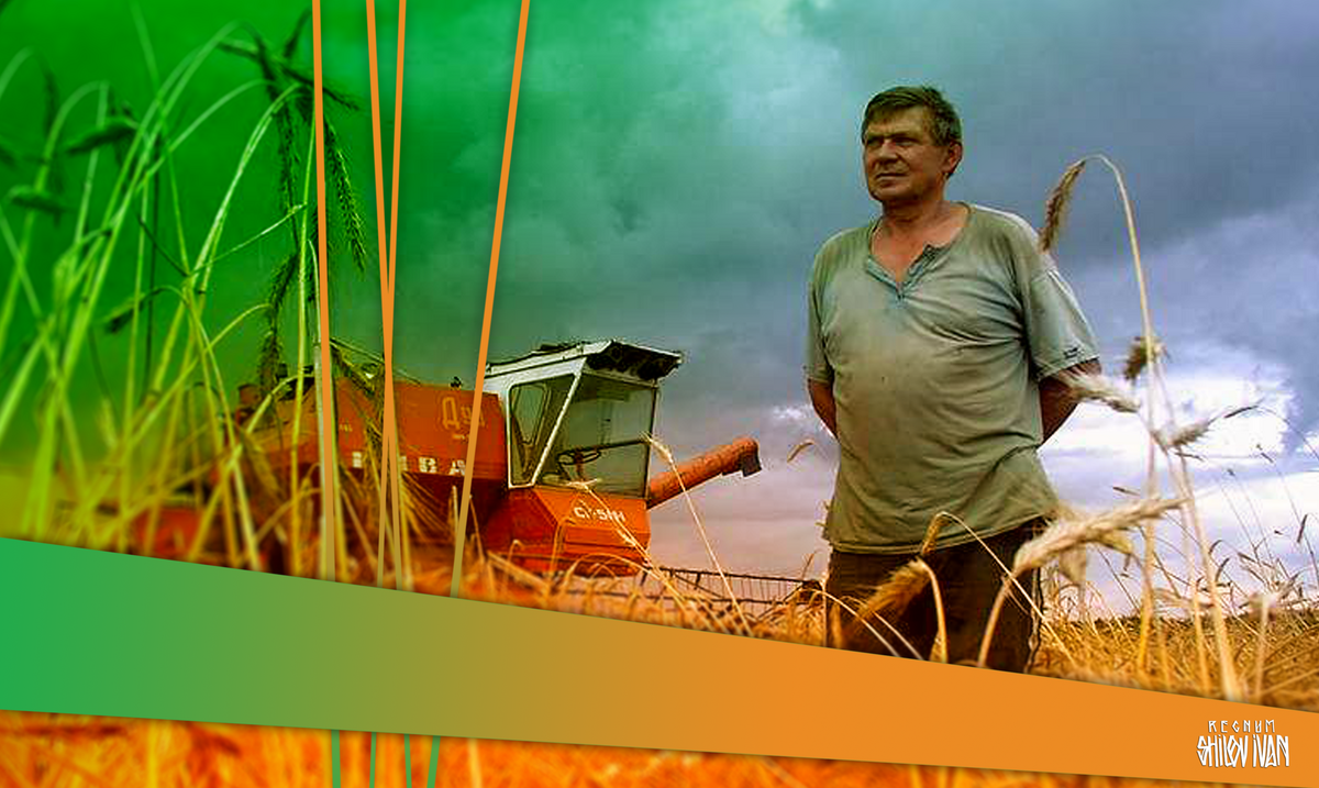    Сельское хозяйство / Источник: Иван Шилов (c) ИА REGNUM