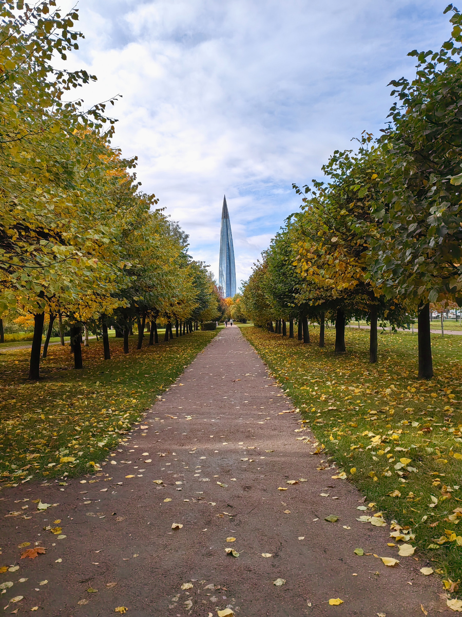 Все фото от автора. Санкт-Петербург. 11.10.2025 г. 