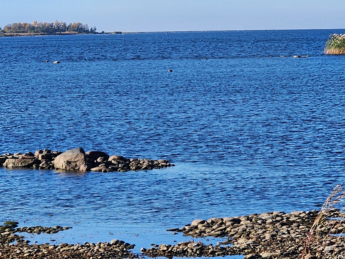 Ладожское озеро