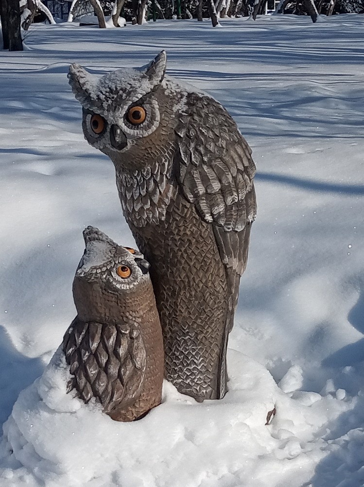 Фотография автора статьи