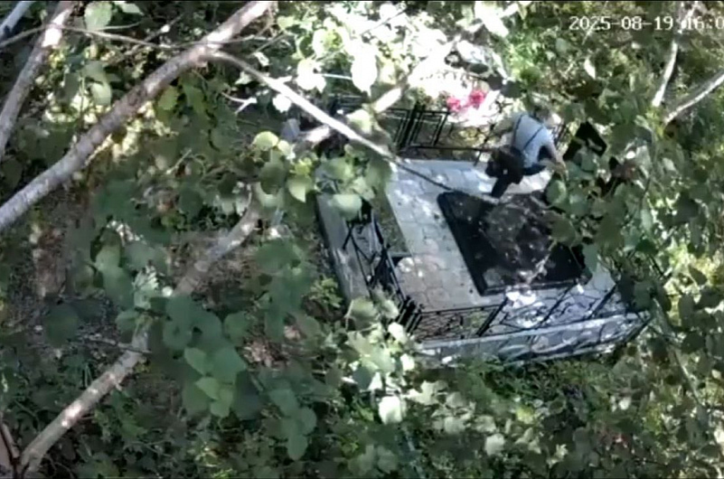 Прокуратура Камчатского края