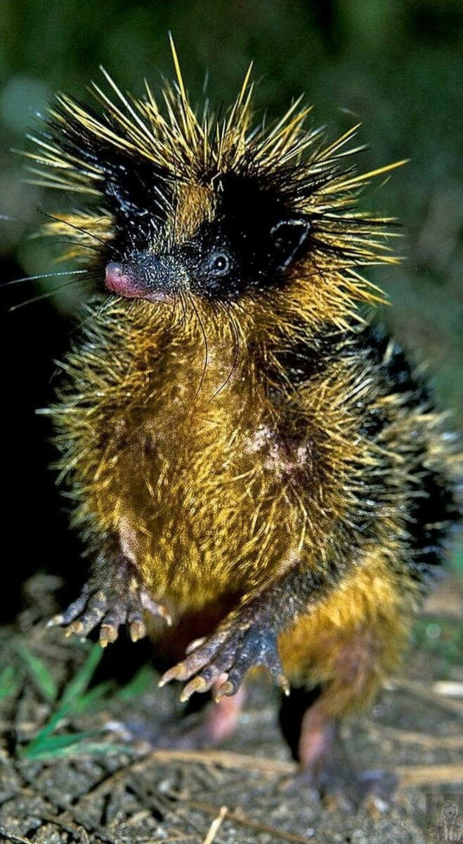 Вы со мной не шутите. А то я своих родственников позову