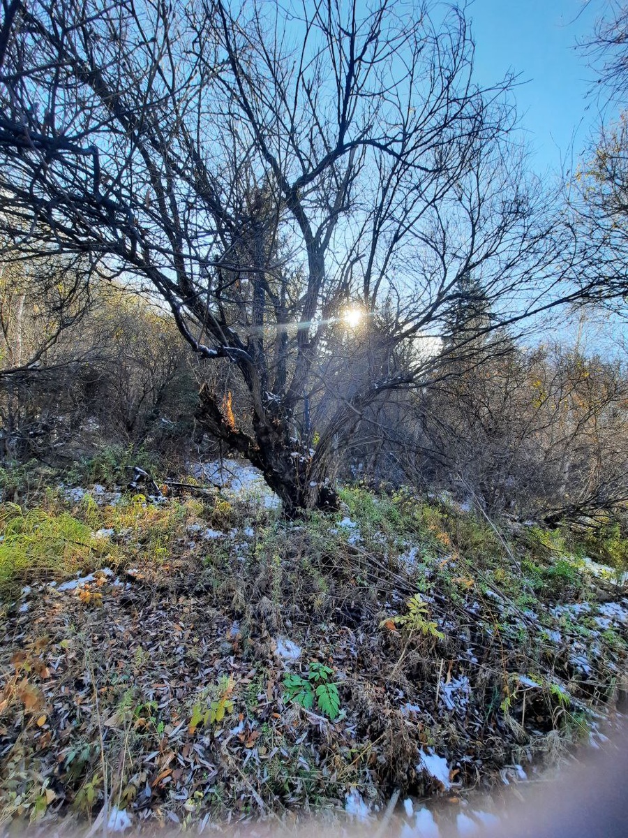 Фото автора.