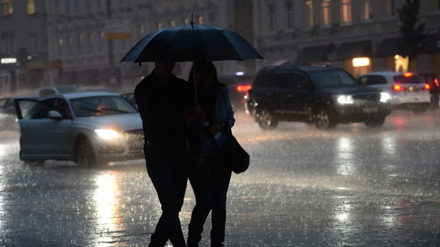    Фото: © РИА Новости/Кирилл Каллиников