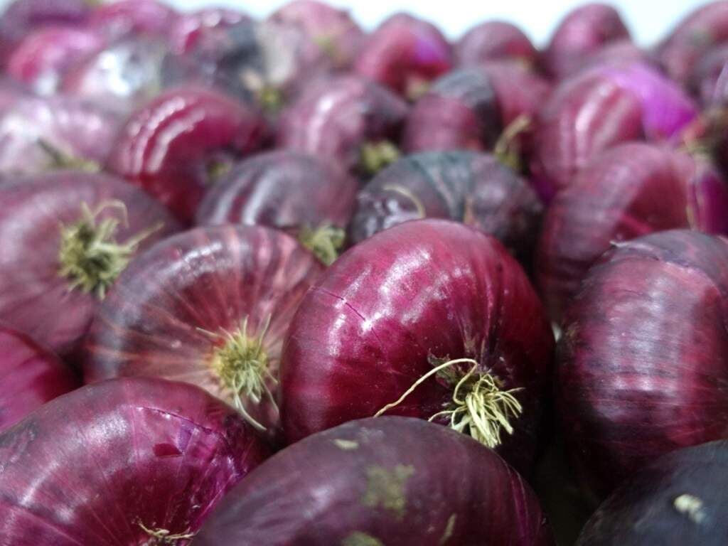    Фото сайта Минсельхоза России admin