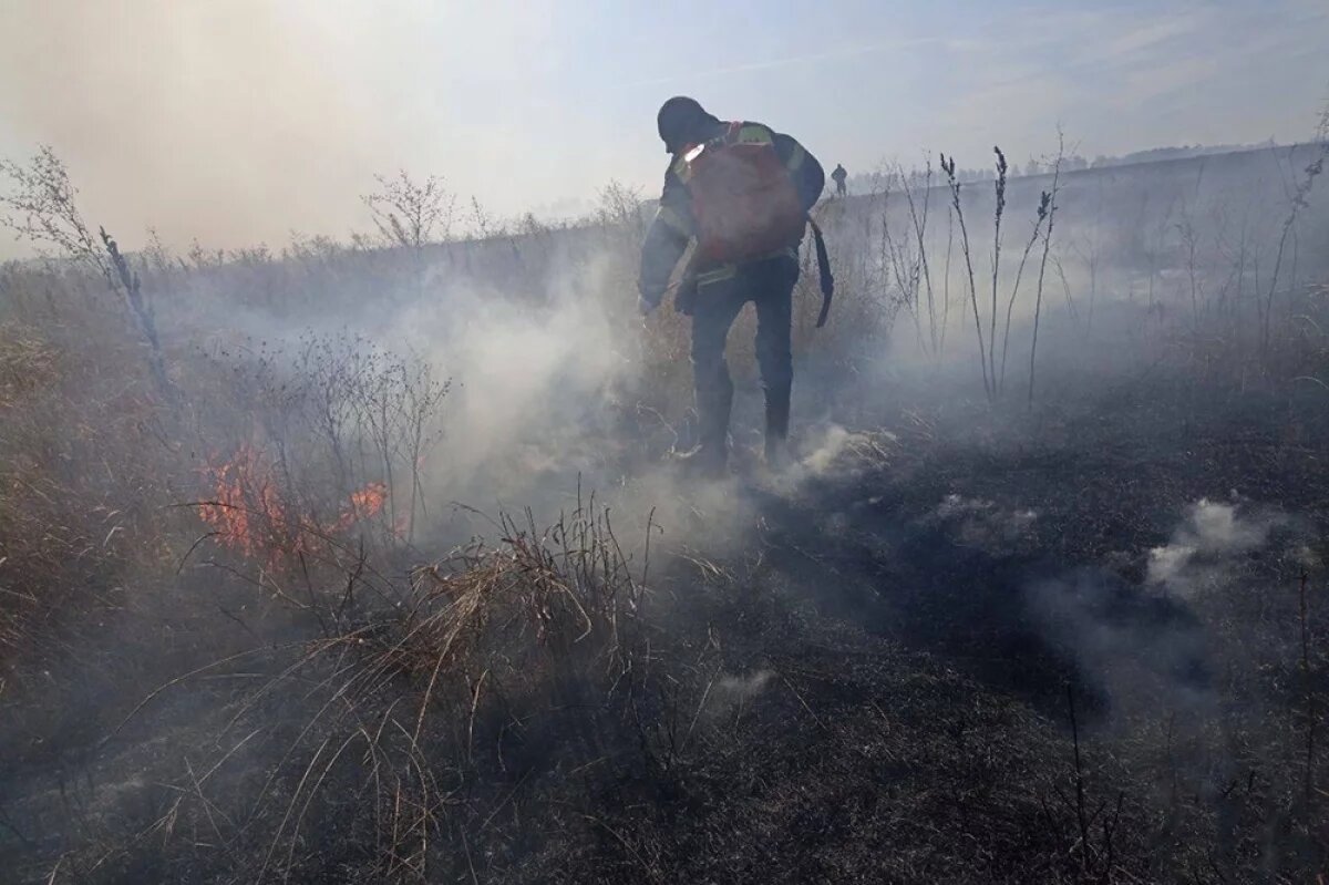    Приморцев предупредили о высокой опасности природных пожаров этой осенью