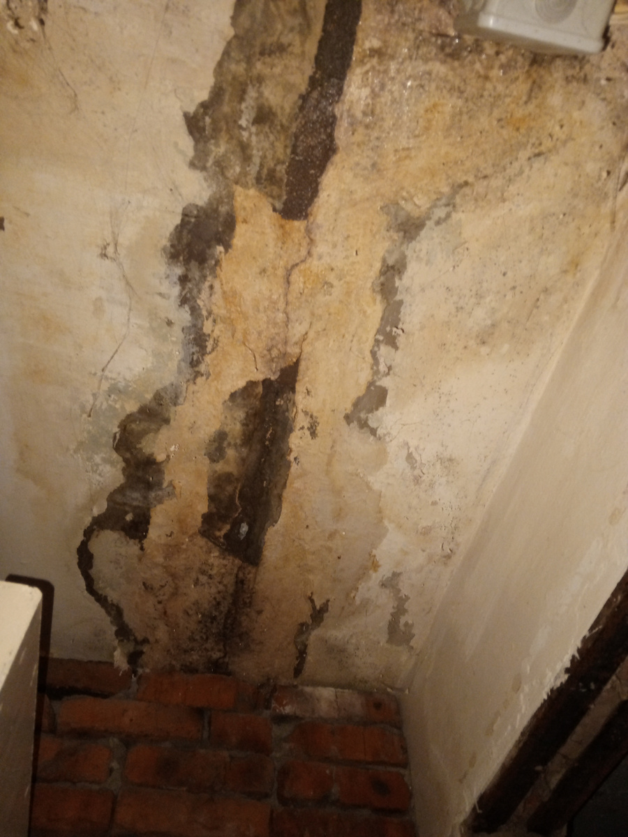 Из личного архива автора