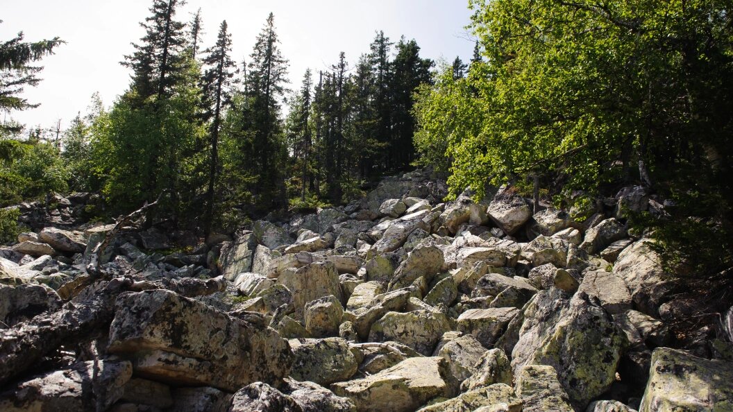    © Dmitry Chasovitin/Globallookpress