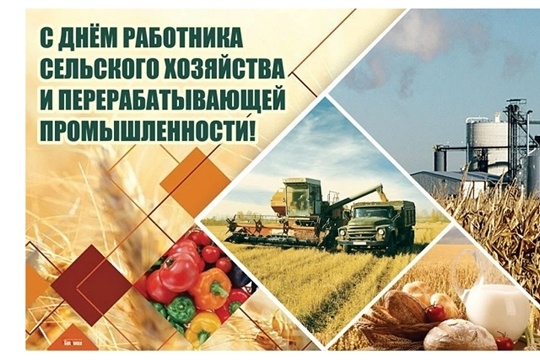 🍎🍐🍎🍏🍎🍐🍎🍏🍎🍐🍎🍏🍎🍐🍎🍏🍎🍐🍎🍏🍎🍐🍎🍏🍎🍐🍎🍏🍎🍐🍎🍏