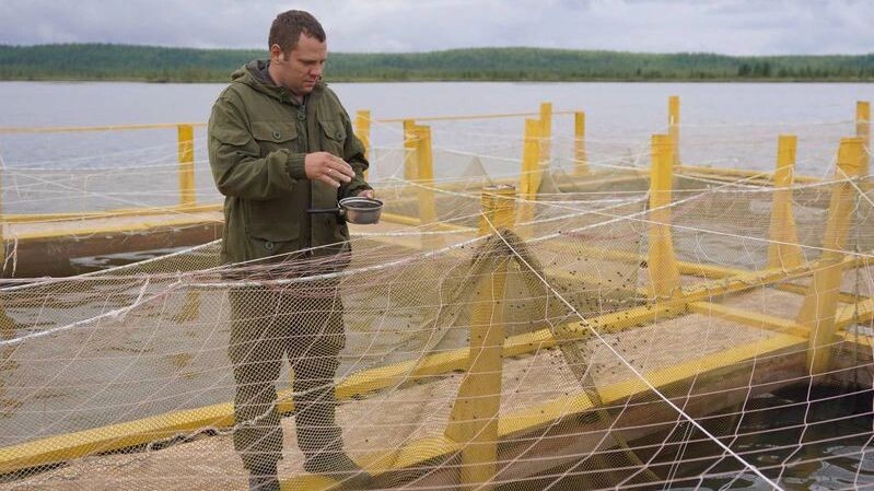    Фото: Юлия Чудинова / «Ямал-Медиа»
