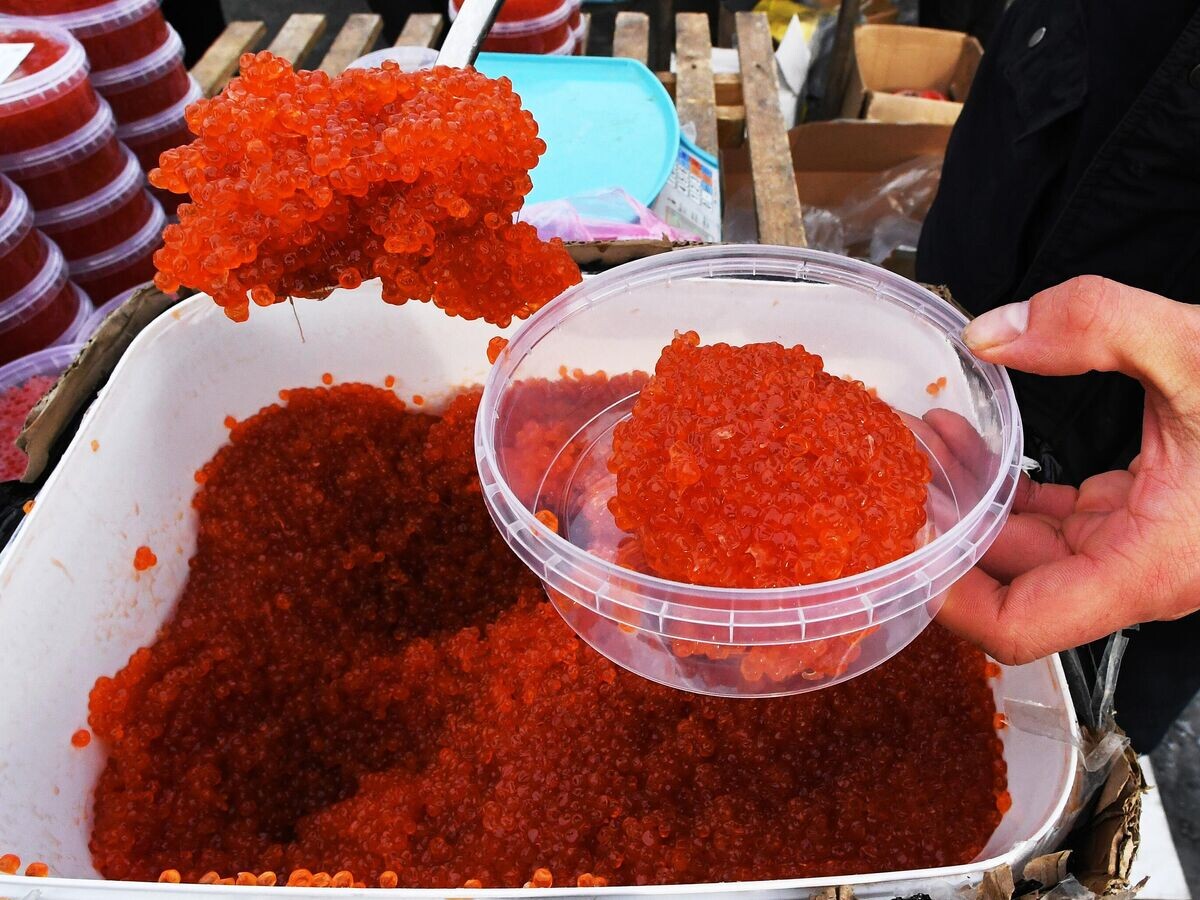    Продажа красной икры на продовольственной ярмарке© РИА Новости / Виталий Аньков