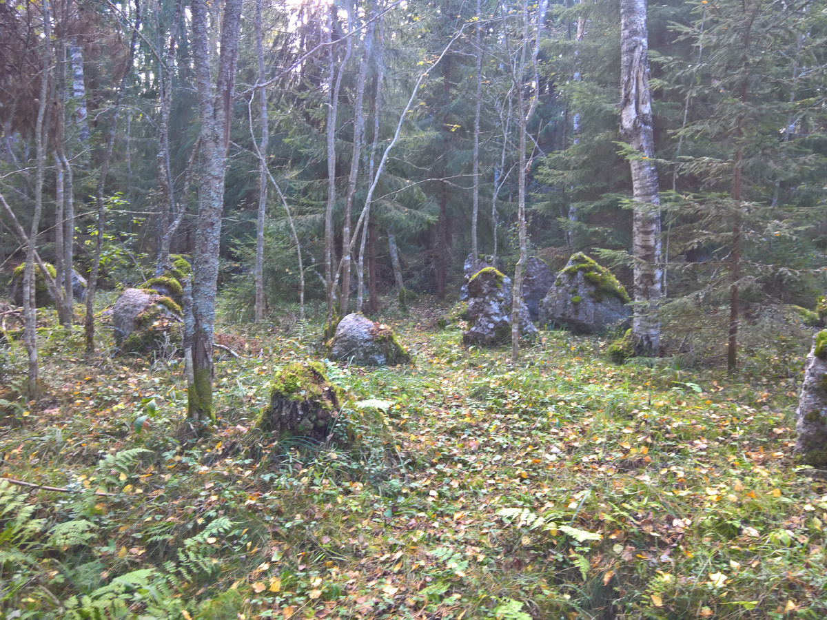 Гранитные надолбы фото автора 