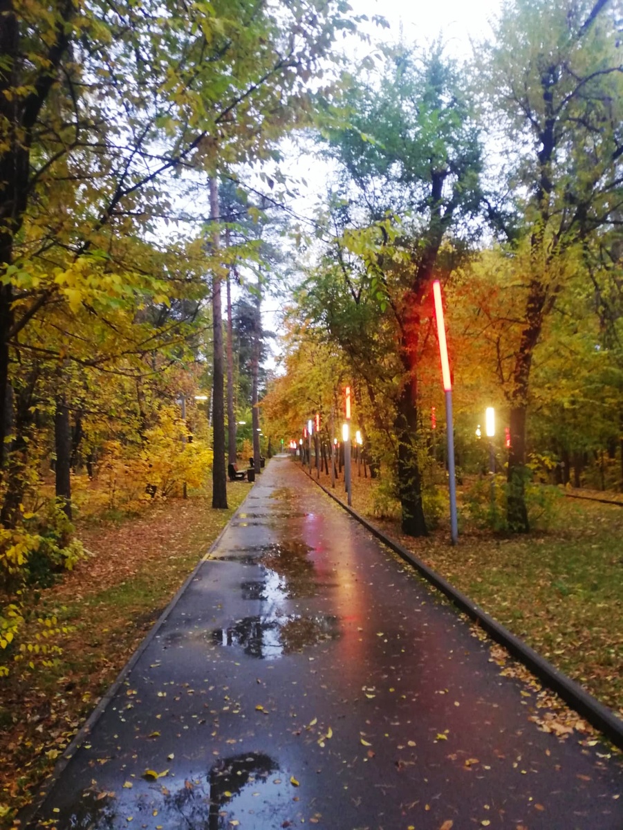 Утренняя прогулка в парке.