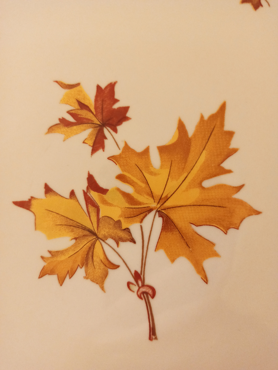 Знаменитый и всеми любимый Дулевский кленовый лист. 