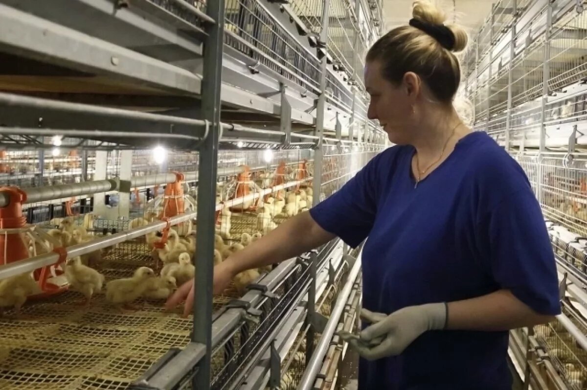    Владимир Мазур поздравил томских аграриев с их праздником