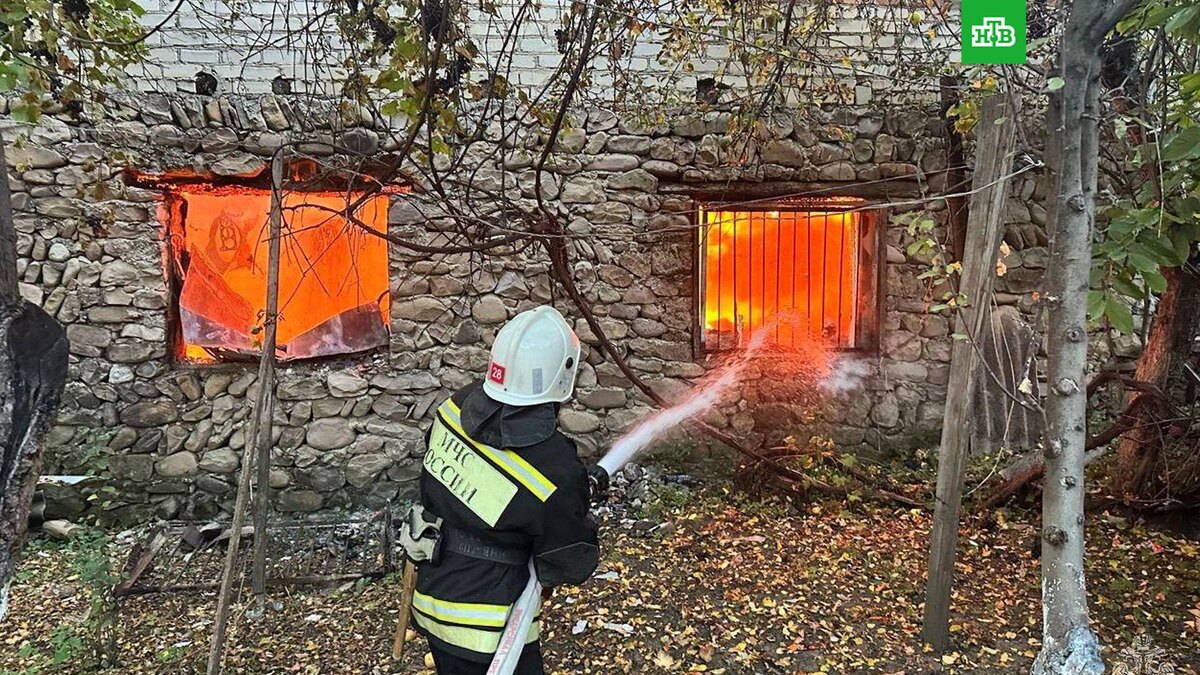    Фото: МЧС России