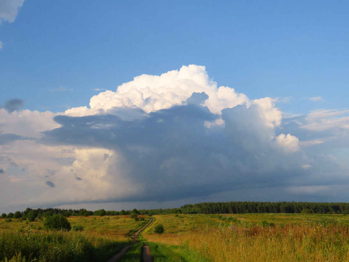 Дорога к реке Содышка. 