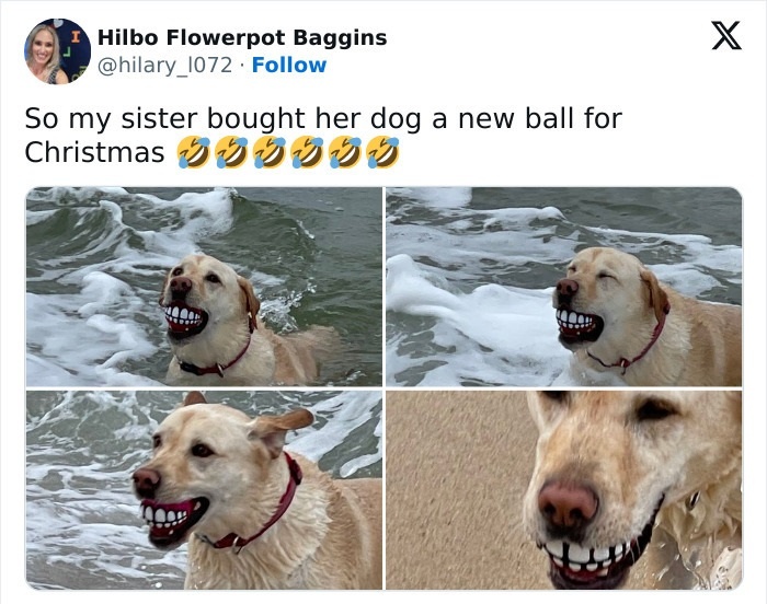 Источник: Oh wow that’s ridiculous I will take 12 of them