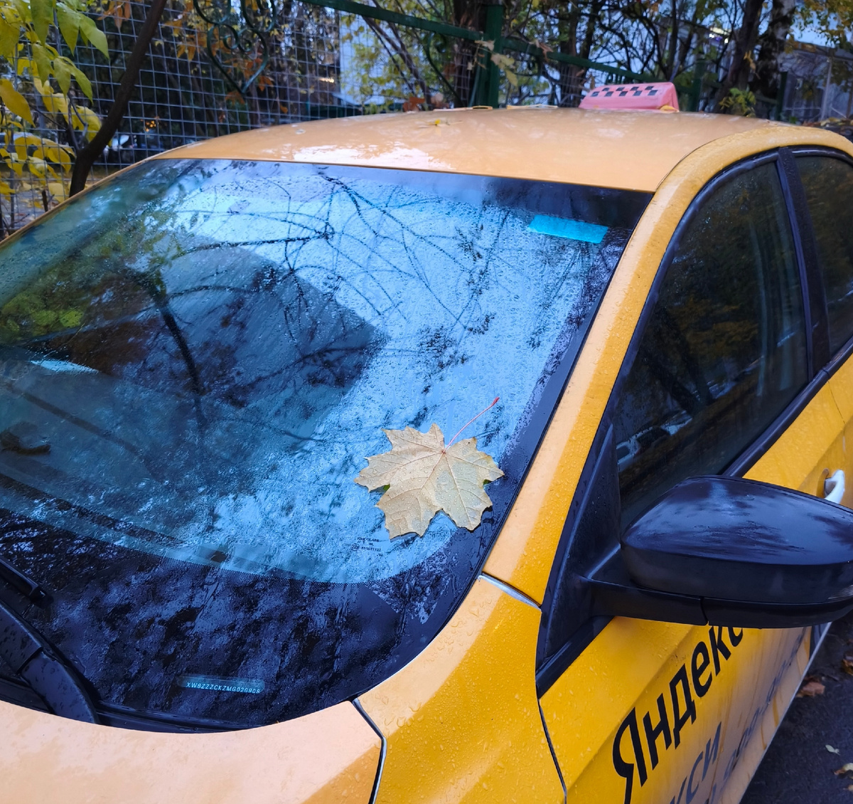 Октябрь - самое красивое время года!