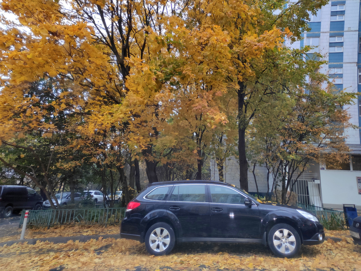 Машина тут не причём. Листья красивые!