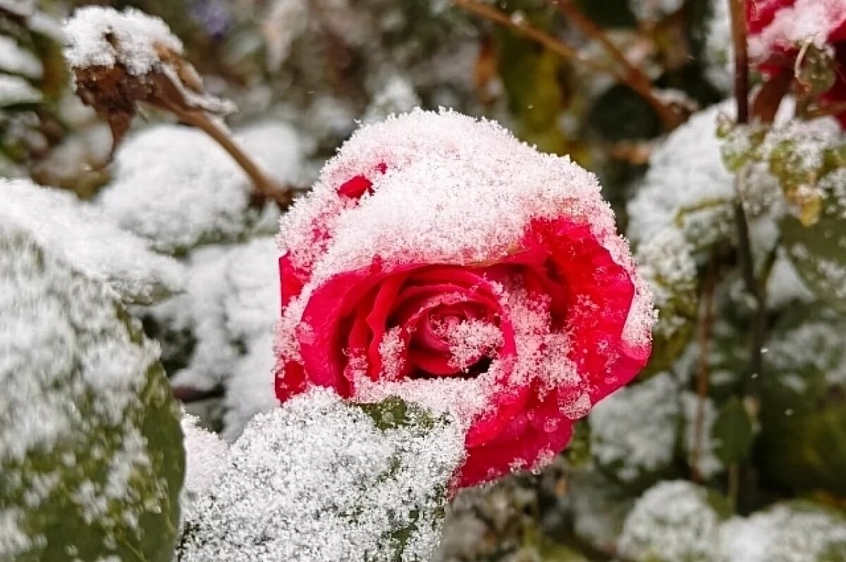    В Башкирию пришли морозы и дождь со снегом